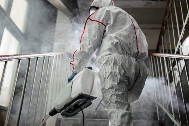 Best Residential Mold Inspection & Testing  in Sisco Heights, WA